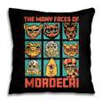 DCC Many Faces Of Mordecai Grid Gamer Series Book Pillowcase