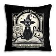 Salem Witch Book Club Vintage Halloween Cat Book Lover Pillowcase