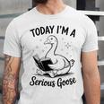 Today I'm A Serious Goose Animal Reading Book Lovers Unisex Jersey T-Shirt Today I'm A Serious Goose Animal Reading Book Lovers Unisex Jersey T-Shirt