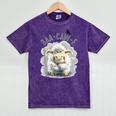 Back Off – Sheep Baa Crow Caw Pun For Introverts Mineral Wash Tshirts Mineral Purple