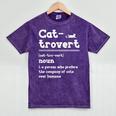 Cat-Trovert Definition Cat Introvert Pet Lover Mineral Wash Tshirts Mineral Purple
