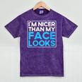 I'm Nicer Than My Face Looks Shy People Introverts Mineral Wash Tshirts Mineral Purple