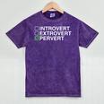 Introvert Extrovert Pervert Dark Humor Novelty Meme Mineral Wash Tshirts Mineral Purple
