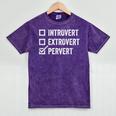 Introvert Extrovert Pervert Sarcasm Adult Joke s Mineral Wash Tshirts Mineral Purple