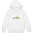 It's Not Hoarding If It's Books Premium Tri-Blend Unisex Hoodie