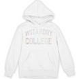 Retro Antisocial WIZARDRY COLLEGE Introvert Sarcastic Unisex Hoodie Retro Antisocial WIZARDRY COLLEGE Introvert Sarcastic Unisex Hoodie
