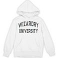 Silly Don'T Call Me WIZARDRY UNIVERSITY Introvert Sarcastic Unisex Hoodie