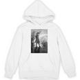 Vintage Anne Of Green Gables -Roof Scene From Book Premium Tri-Blend T-Shirt Unisex Hoodie