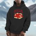 Books Are My Love Language Valentines Day For Books Lover Unisex Hoodie