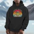 Howdy Reader Frog Reading Book Vintage Unisex Hoodie