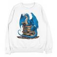 Book Lover Bookworm Reading Books Dragon Premium Tri-Blend Unisex Sweatshirt