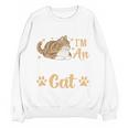 Kitty Pet Lover Introvert Person Cats Show Family Member Unisex Sweatshirt