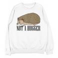 Not A Hugger Hedgehog Introvert Sarcasm Antisocial Unisex Sweatshirt Not A Hugger Hedgehog Introvert Sarcasm Antisocial Unisex Sweatshirt