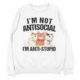 Sarcasm Cat Sarcastic Introvert Antisocial Cat Lover Unisex Sweatshirt