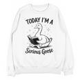 Today I'm A Serious Goose Animal Reading Book Lovers Unisex Sweatshirt Today I'm A Serious Goose Animal Reading Book Lovers Unisex Sweatshirt