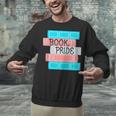 Threadless Grey Sky Chai Trans Book Pride Graphic Unisex Sweatshirt