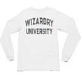 Vintage Don'T Call Me WIZARDRY UNIVERSITY Introvert Unisex Long Sleeve T-Shirt