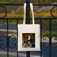 Unsociable And Taciturn Jane Austin Quote Book Classic Lit Canvas Tote Bag