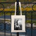 Vintage Anne Of Green Gables -Roof Scene From Book Premium Tri-Blend T-Shirt Canvas Tote Bag