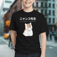 Madara Nyanko Sensei Natsume Yuujinchou Book Of Friends Cat Graphic Youth
