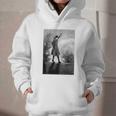 Vintage Anne Of Green Gables -Roof Scene From Book Premium Tri-Blend T-Shirt Graphic Youth Hoodie Vintage Anne Of Green Gables -Roof Scene From Book Premium Tri-Blend T-Shirt Graphic Youth Hoodie