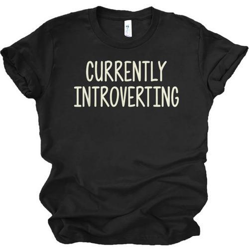 Currently Introverting I Introvert Unisex Jersey T-Shirt - Raresse