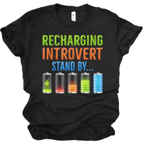 Introverted Recharging Introvert Saying Sarcasm Unisex Jersey T-Shirt - Raresse