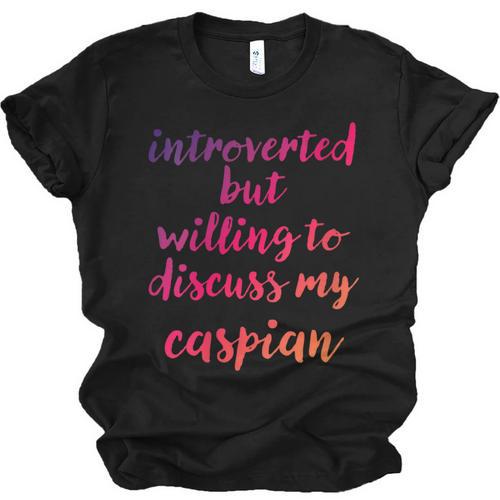 Introverted Willing To Discuss Caspian Introvert Unisex Jersey T-Shirt - Raresse