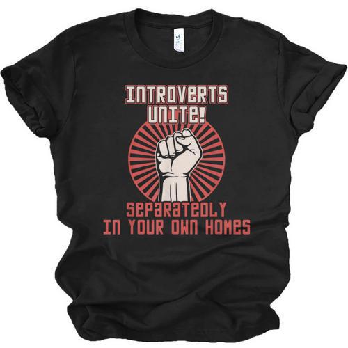 Introverts Unite Introverting Introverts At Home Unisex Jersey T-Shirt - Raresse