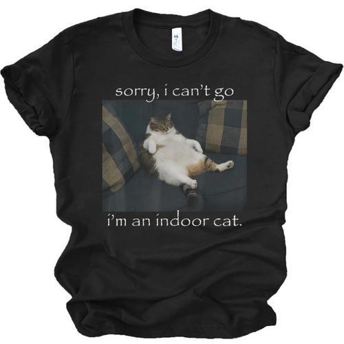 Sorry I Can’t Go I’m An Indoor Cat Introvert Meme Unisex Jersey T-Shirt - Raresse