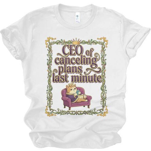 CEO Of Canceling Plans Flake Introvert Friend Premium Tri-Blend Unisex Jersey T-Shirt - Raresse
