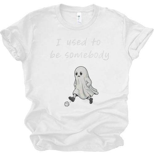 I Used To Be Somebody Nostalgia Halloween Spooky Season Premium Tri-Blend Unisex Jersey T-Shirt - Figerry