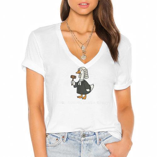Goose Silly Lawyer Law School Graduation Future Lawyer Women's Jersey Short Sleeve Deep V-Neck Tshirt				 - Best Gift Smart