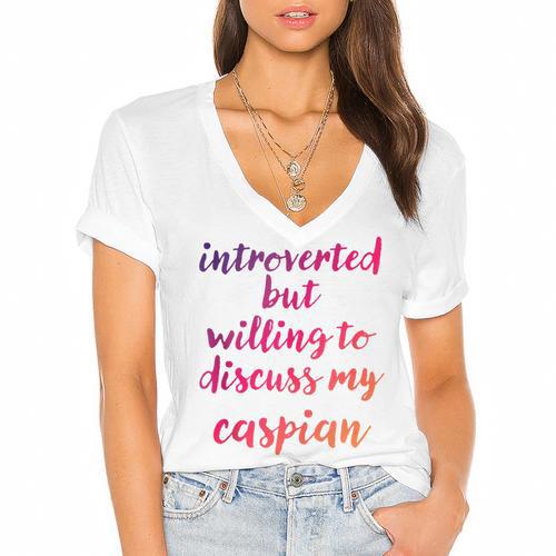 Introverted Willing To Discuss Caspian Introvert Women's Jersey Short Sleeve Deep V-Neck Tshirt - Raresse