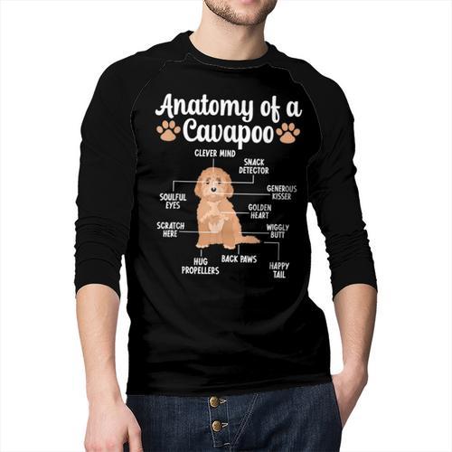 Anatomy Of A Cavapoo Dog Cavapoo Owner Cavapoo Dad Men Baseball Raglan Shirt - Father's Day Fun