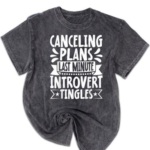 Canceling Plans Last Minute Introvert Tingles Alone Time Mineral Wash Tshirts - Raresse