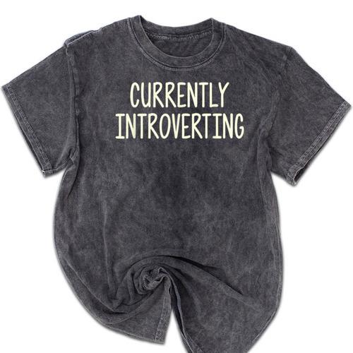 Currently Introverting I Introvert Mineral Wash Tshirts - Raresse