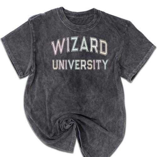 Don'T Call Me WIZARD UNIVERSITY Introvert Sarcastic Mineral Wash Tshirts - Raresse