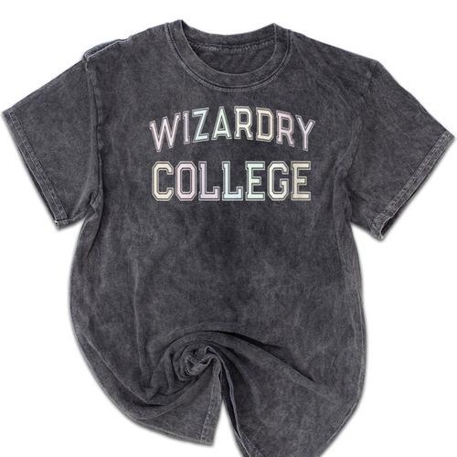 Don'T Call Me WIZARDRY COLLEGE Introvert Sarcastic Mineral Wash Tshirts - Raresse