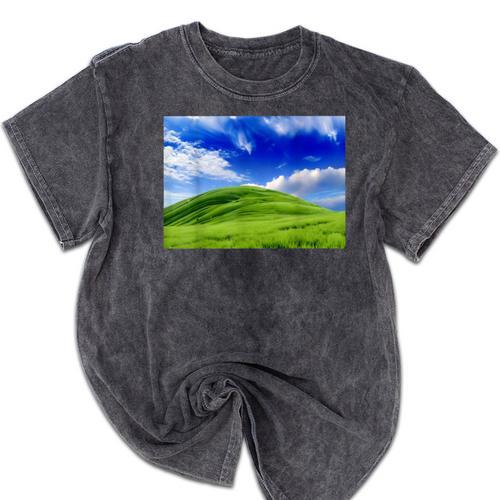 Frutiger Aero Meadow Aesthetic Y2k 2000s Ironic Nostalgic Mineral Wash Tshirts - Figerry