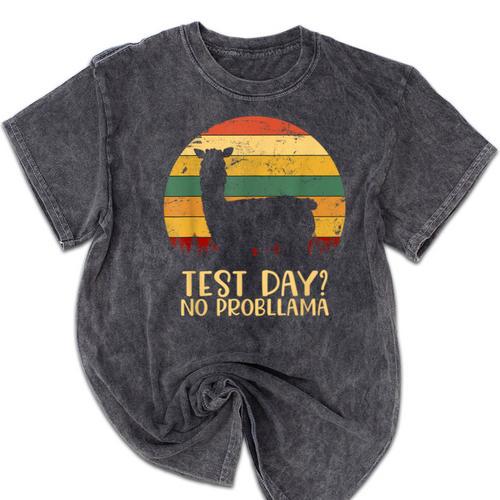 Test Day No Probllama Silhouette Teacher Student Graduation Mineral Wash Tshirts - Best Gift Smart