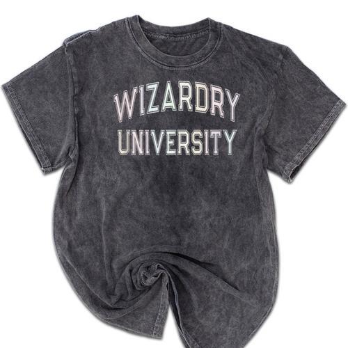 Crazy Antisocial WIZARDRY UNIVERSITY Introvert Don't Call Me Mineral Wash Tshirts - Raresse