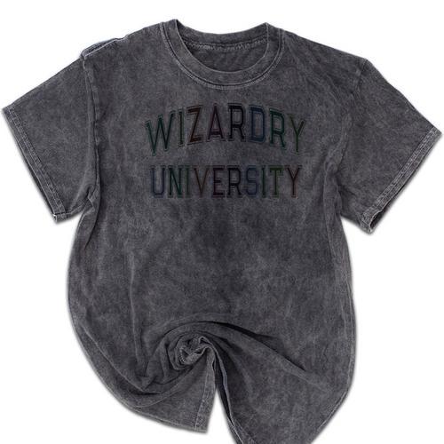 Vintage Don'T Call Me WIZARDRY UNIVERSITY Introvert Mineral Wash Tshirts - Raresse