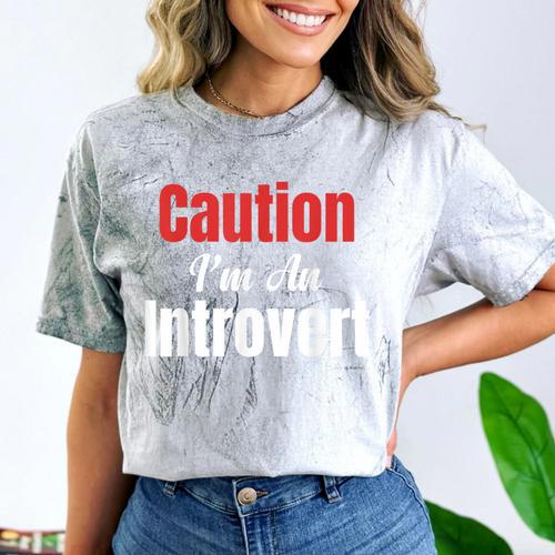 Caution I'm An Introvert Sarcastic Geek Video Gamer Jokes Comfort Color Blast T-Shirt - Raresse