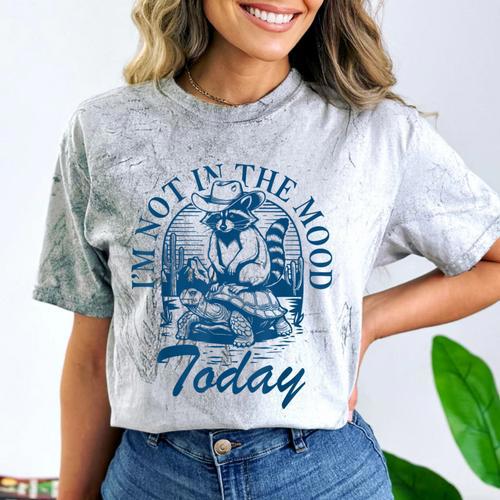 I’m Not In The Mood Today Anti-Social Moody Introvert Humor Comfort Color Blast T-Shirt - Raresse