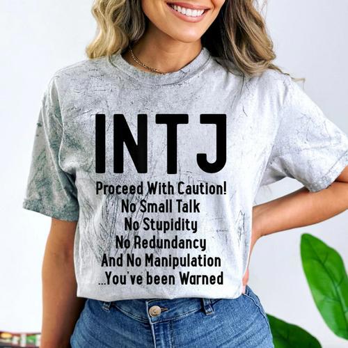 INTJ Rules Architect Personality Type Introvert Comfort Color Blast T-Shirt - Raresse