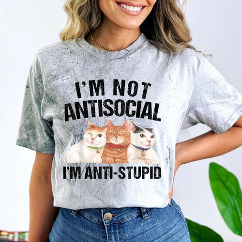 Sarcasm Cat Sarcastic Introvert Antisocial Cat Lover Comfort Color Blast T-Shirt - Raresse