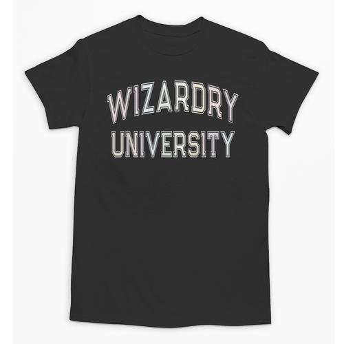 Anti Social WIZARDRY UNIVERSITY Introvert Stay Away Unisex T-Shirt - Raresse