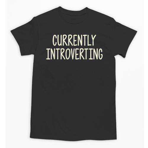 Currently Introverting I Introvert Unisex T-Shirt - Raresse