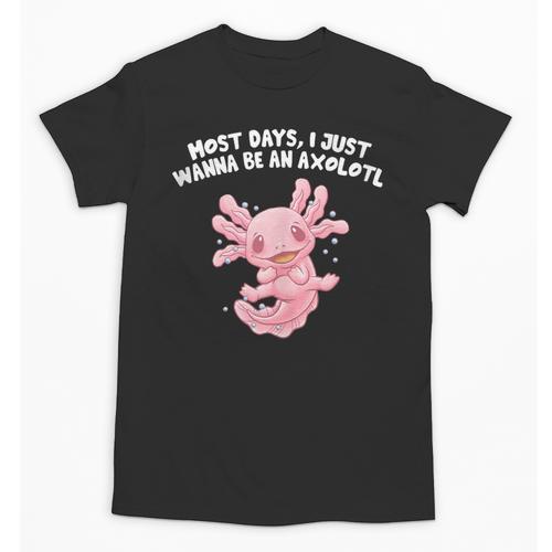 Most Days I Just Wanna Be An Axolotl Salamander Introvert Unisex T-Shirt - Raresse